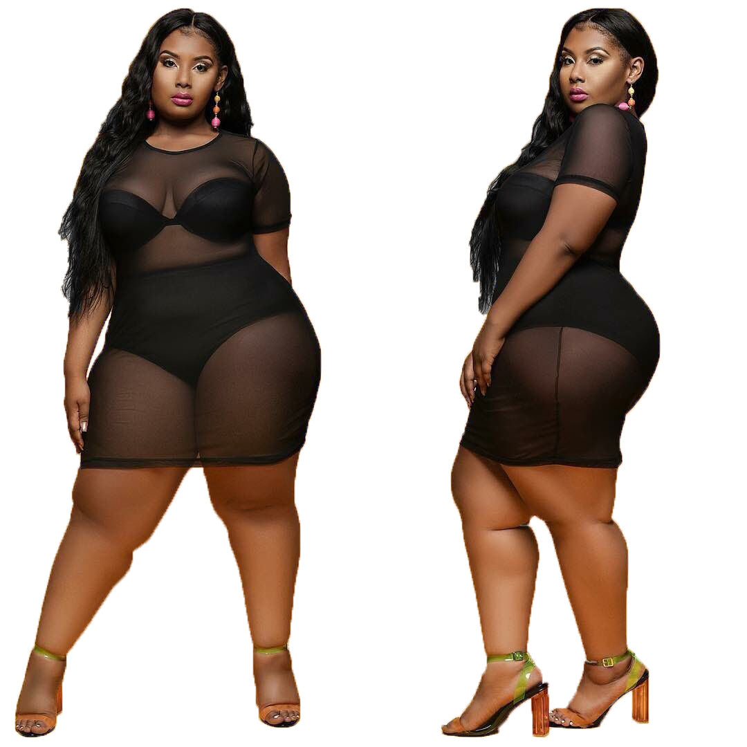 Plus Size See-through Slim-Fit Sexy Black Korean Net Dress